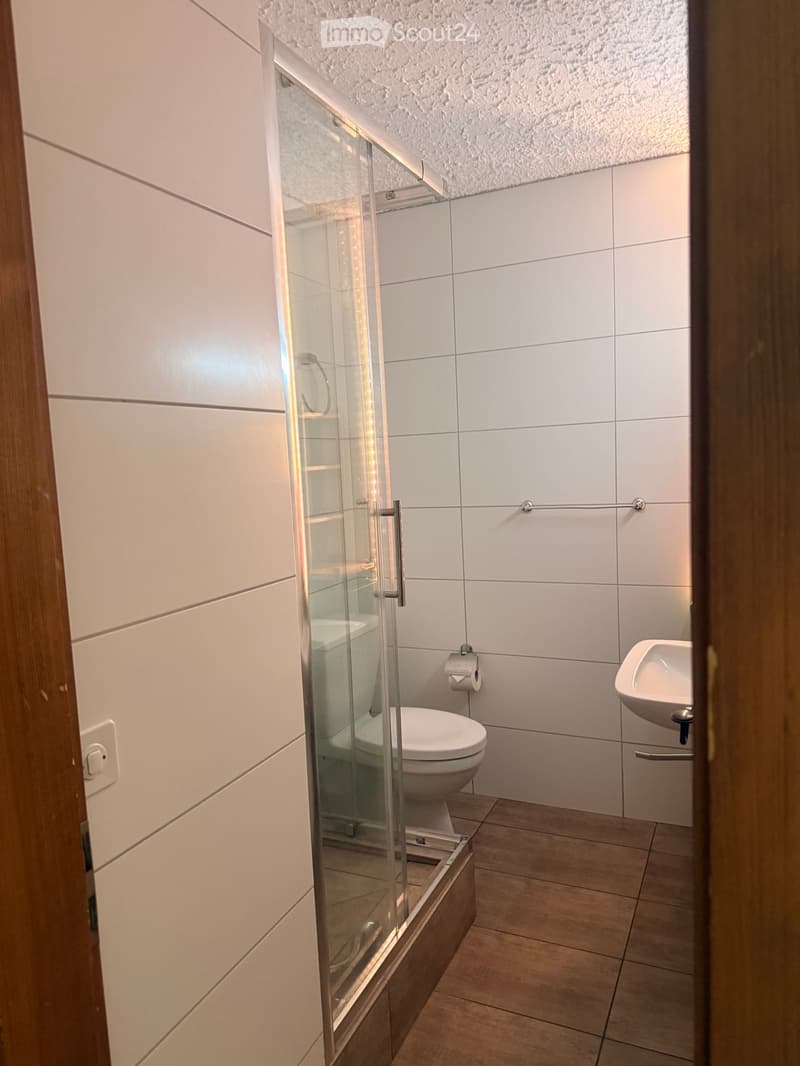 Modern bathroom with white tiled walls, a glass-enclosed shower stall, a toilet, and a sink with a mirror above it.