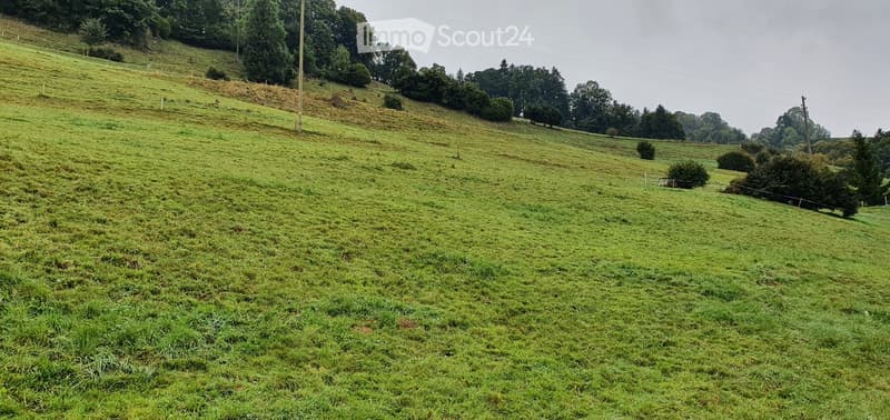 A grassy hillside with scattered trees and a fence in the background.