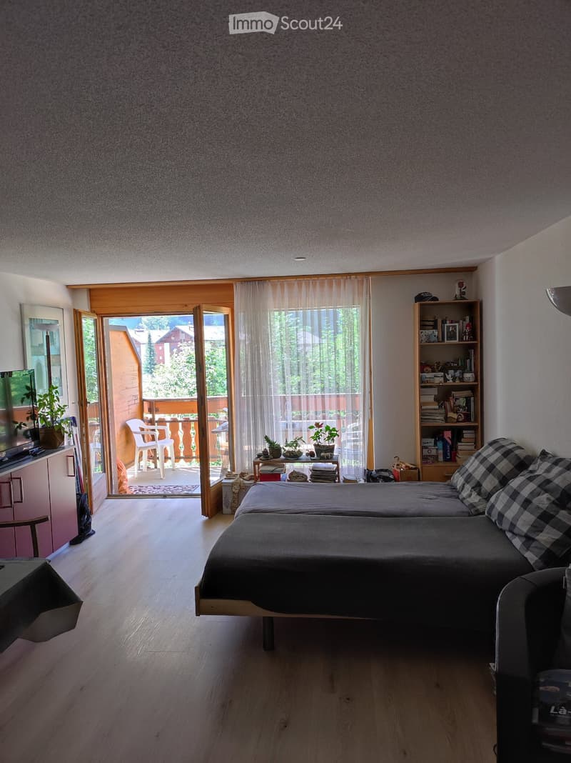 double bed, small bed, two pillows, rug, balcony, glass door, sliding glass door, curtain, wooden book shelf, tv, potted plants, floor lamp, wooden chest, picture frame, wooden chair