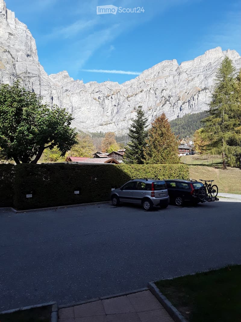Two cars parked in front of a hedge with trees and mountains in the background