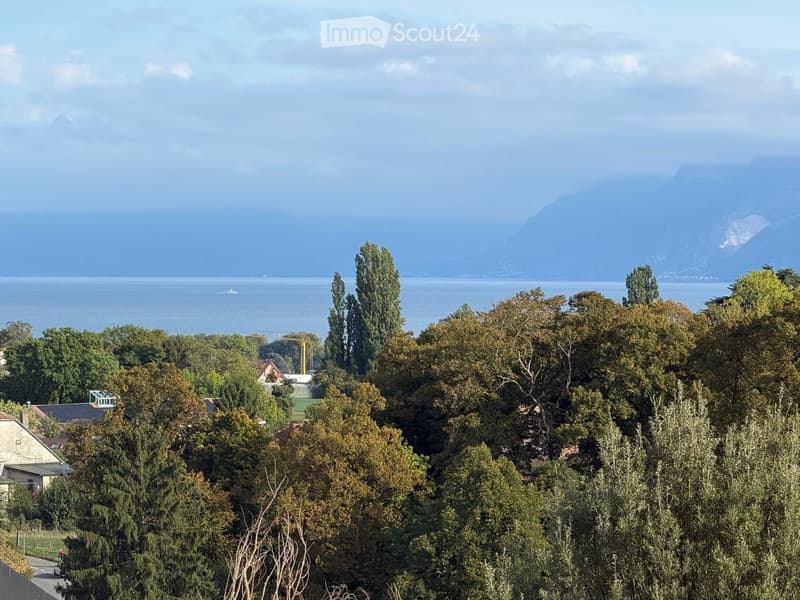 A scenic view of a lake with distant mountains, surrounded by lush green trees and a few houses partially visible through the foliage.