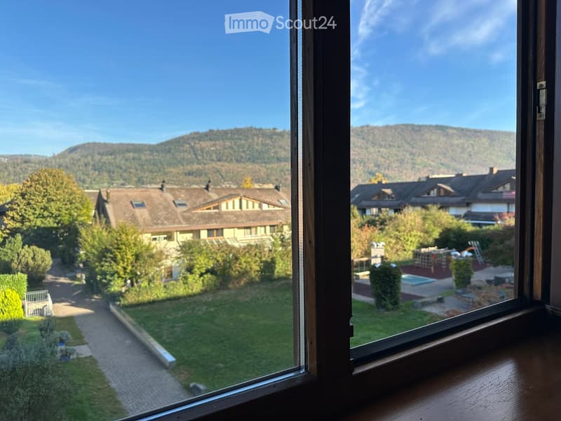 View from a window showing a well-maintained garden with a paved pathway, trees, and neighboring houses in the background, with a mountain range visible in the distance.