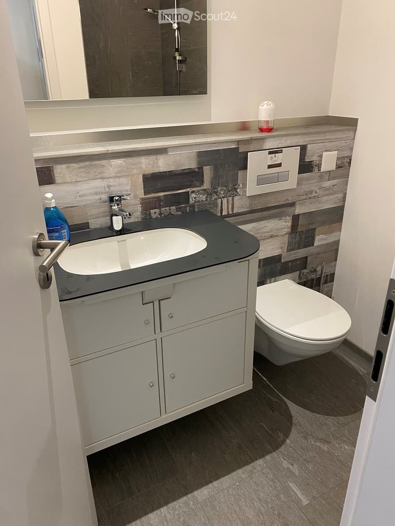 Modern bathroom with a dark countertop sink, white toilet, grey cabinet, and a mirror above the sink.