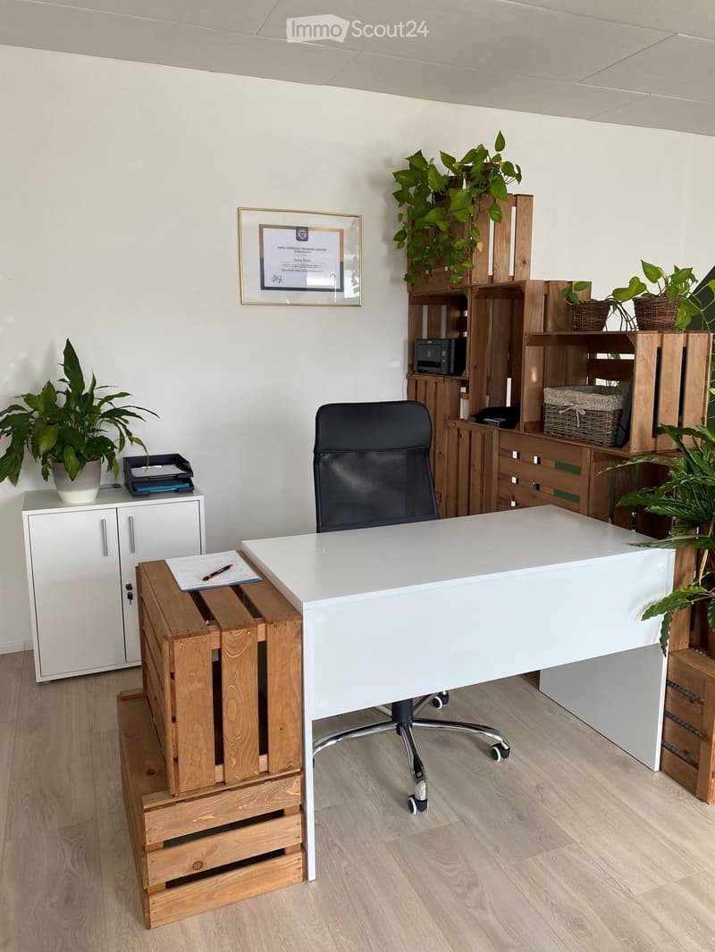 Office space with a white desk, black office chair, wooden crate storage, white cabinet, printer, and several potted plants.