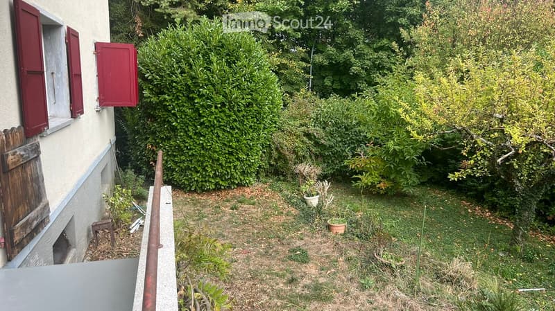 A small, enclosed garden area next to a building with red shutters, featuring a mix of grass, bushes, and a few potted plants.