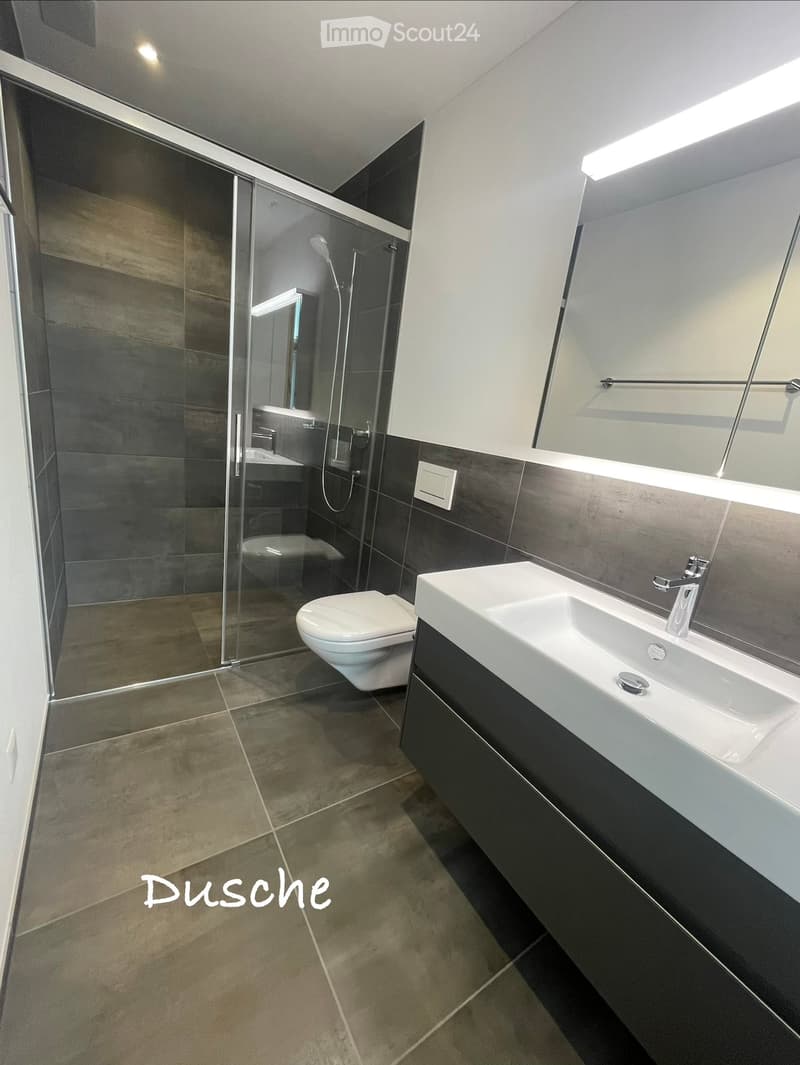 Modern bathroom with a white sink, chrome faucet, toilet, glass-enclosed shower, and large mirror. Dark grey tiles on walls and floor.