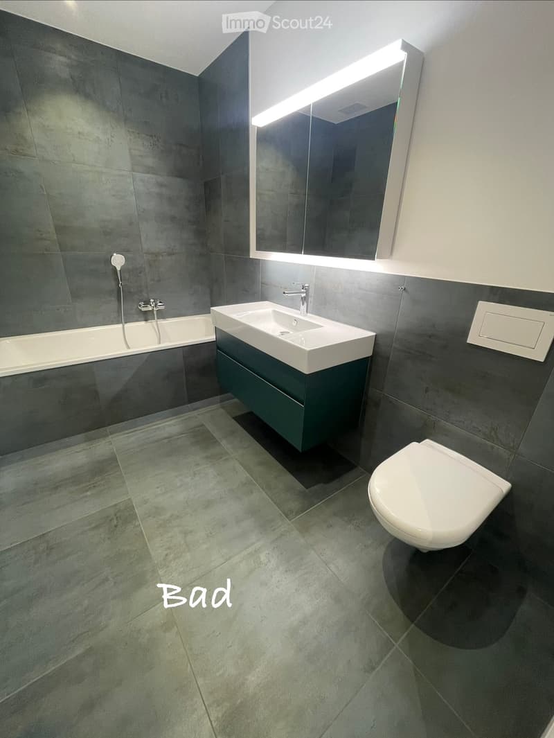 Modern bathroom with dark grey tiles, a bathtub, a sink with a modern faucet, a toilet, and a large mirror with integrated lighting.