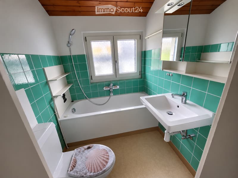 Bathroom with green tiled walls, a bathtub, a sink, a toilet with a seashell-patterned seat cover, and a mirror with shelves above it.