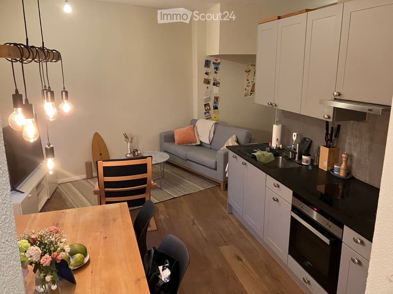 {"visible_features": ["Private washing machine"],    "type": "Living room",    "description": "Cozy layout, light fixtures, grey couch, wooden table, kitchen area, modern appliances",    "localized_descriptions":        {        "EN": "Living room: C