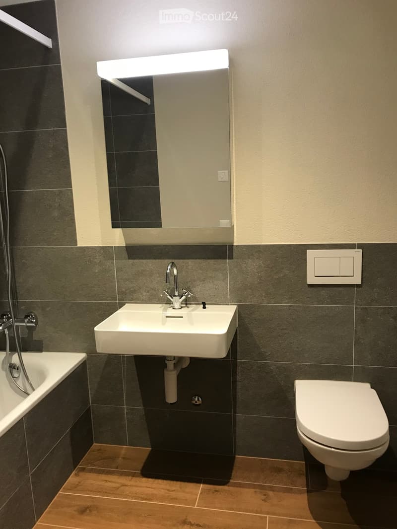 Bathroom: white sink, modern faucet, modern shower head, white toilet, mirror, bathtub