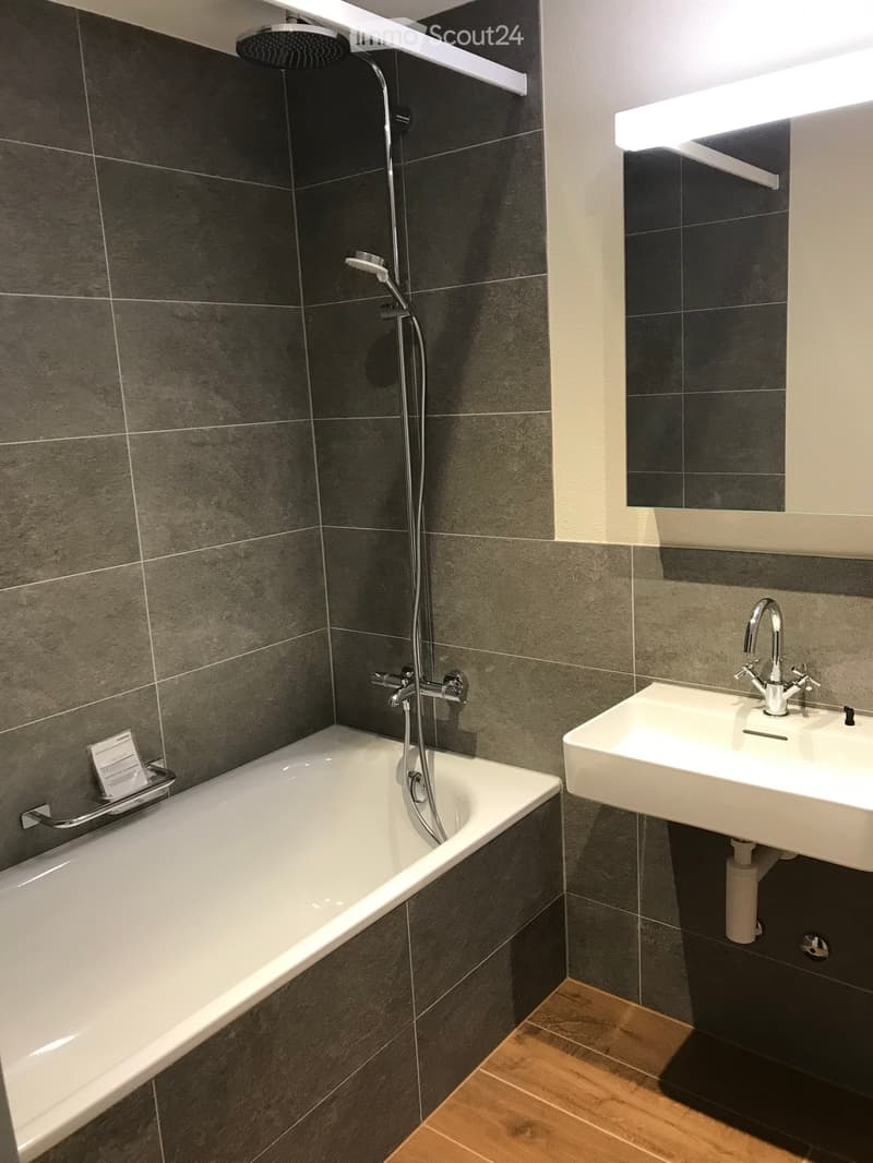 {"visible_features": [],    "type": "Room",    "description": "Bathroom: white bathtub, gray tiles, white sink, mirror, faucet, shower",    "localized_descriptions":        {        "EN": "Bathroom: white bathtub, gray tiles, white sink, mirror, fauc