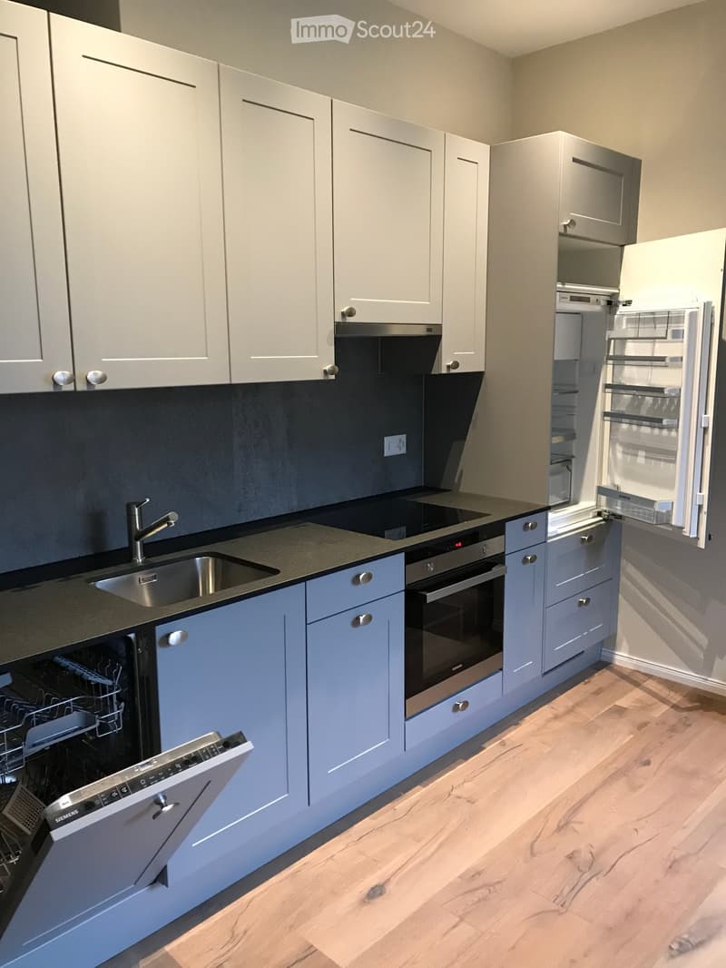 {"visible_features": ["Private washing machine", "Dishwasher"], "type": "Room", "description": "Modern kitchen, white cabinets, granite countertop, stainless steel sink, dishwasher, open refrigerator, oven, black stovetop", "localized_descriptions": {"EN"