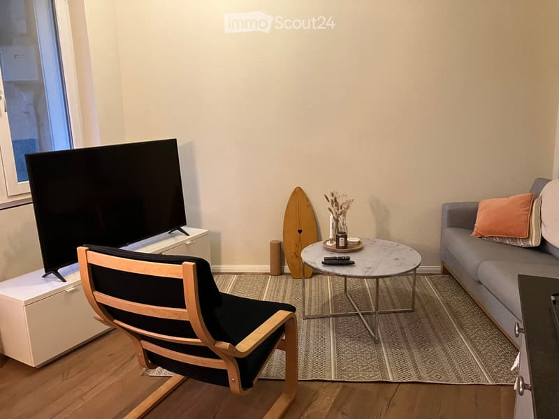 {"type": "Living room","description": "Small living room with light wood floor, flat screen tv, couch, table, rug, chair.","visible_features": ["View"],"localized_descriptions":    {    "EN": "Living room: small living room with light wood floor, fla