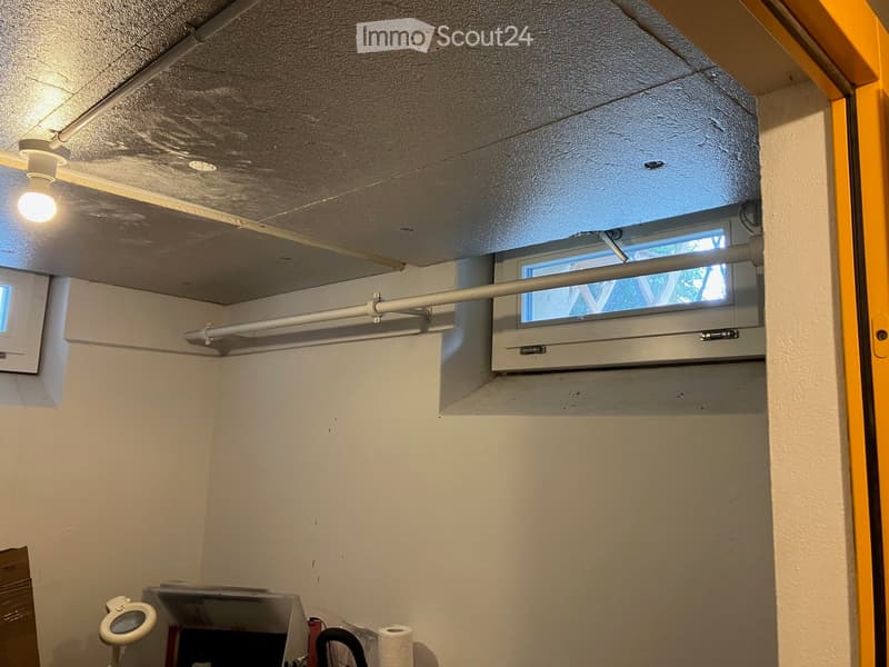 {"type": "Room", "visible_features": [], "description": "Low ceiling with hanging pipe, small window, ceiling light"}
