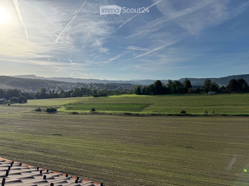 elevated view of expansive green farmlands with distant hilly terrain under a partly cloudy sky