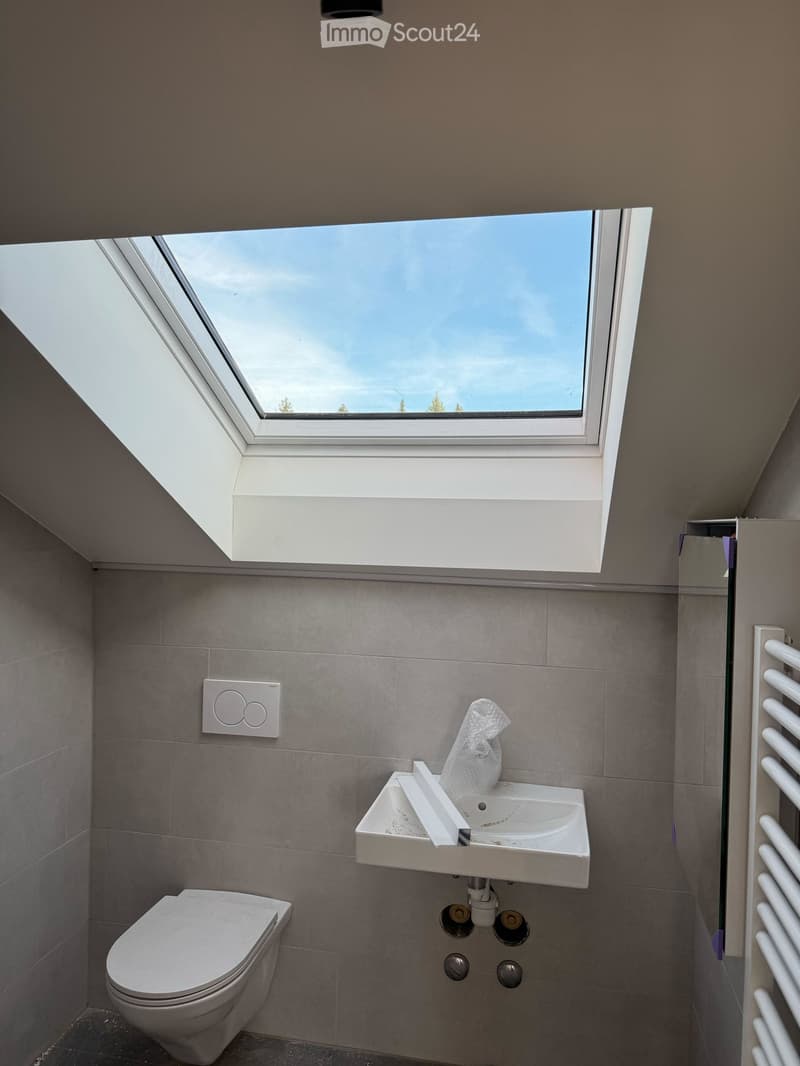 modern bathroom with gray tiles, white sink, white toilet, skylight
