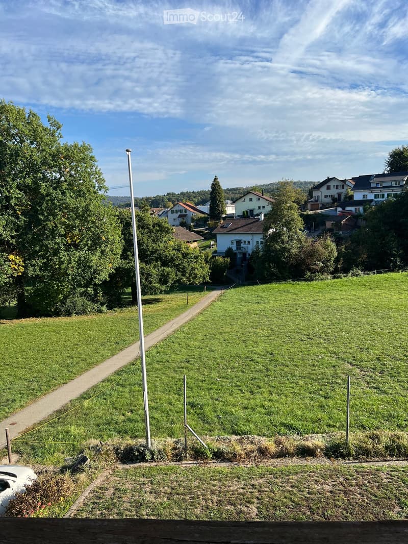 A grassy field with a pathway leading to a residential area with houses and trees in the background.