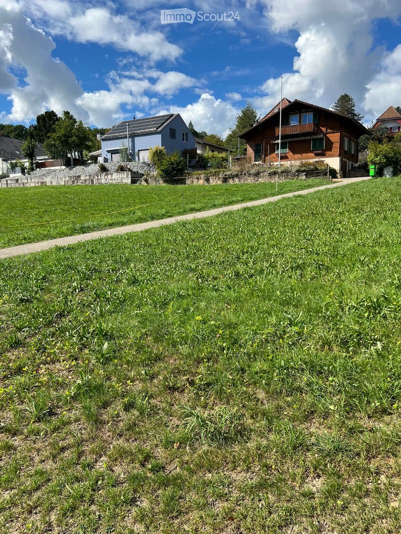A grassy area with a pathway leading to a residential area, featuring houses with solar panels and a stone retaining wall.