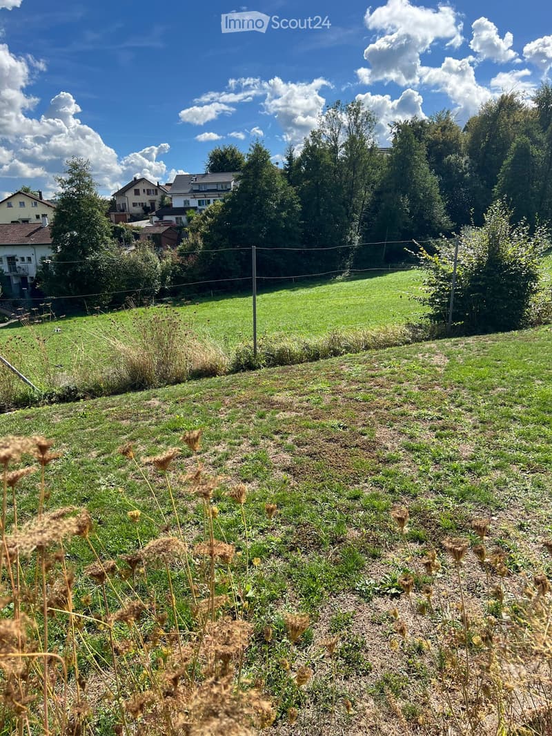 A grassy garden area with a fence, surrounded by trees and houses in the background under a clear blue sky.