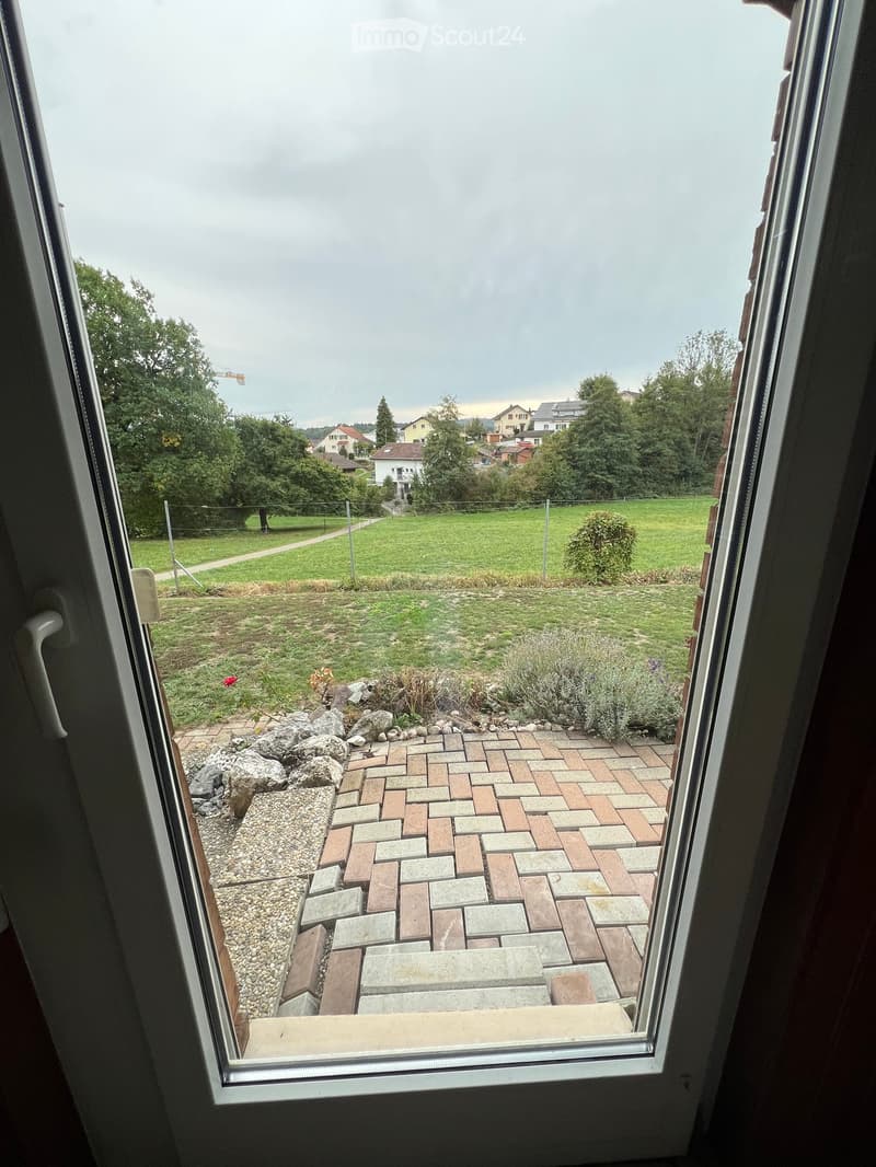 View from a window showing a paved patio area with bricks and gravel, surrounded by greenery and a grassy lawn, with houses and trees in the background.