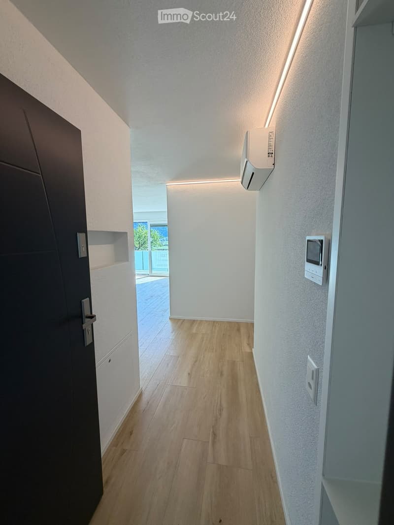 A modern hallway with light wooden flooring, white walls, and built-in storage shelves. A black door is visible on the left, and a small window at the end shows a view of a patio area.
