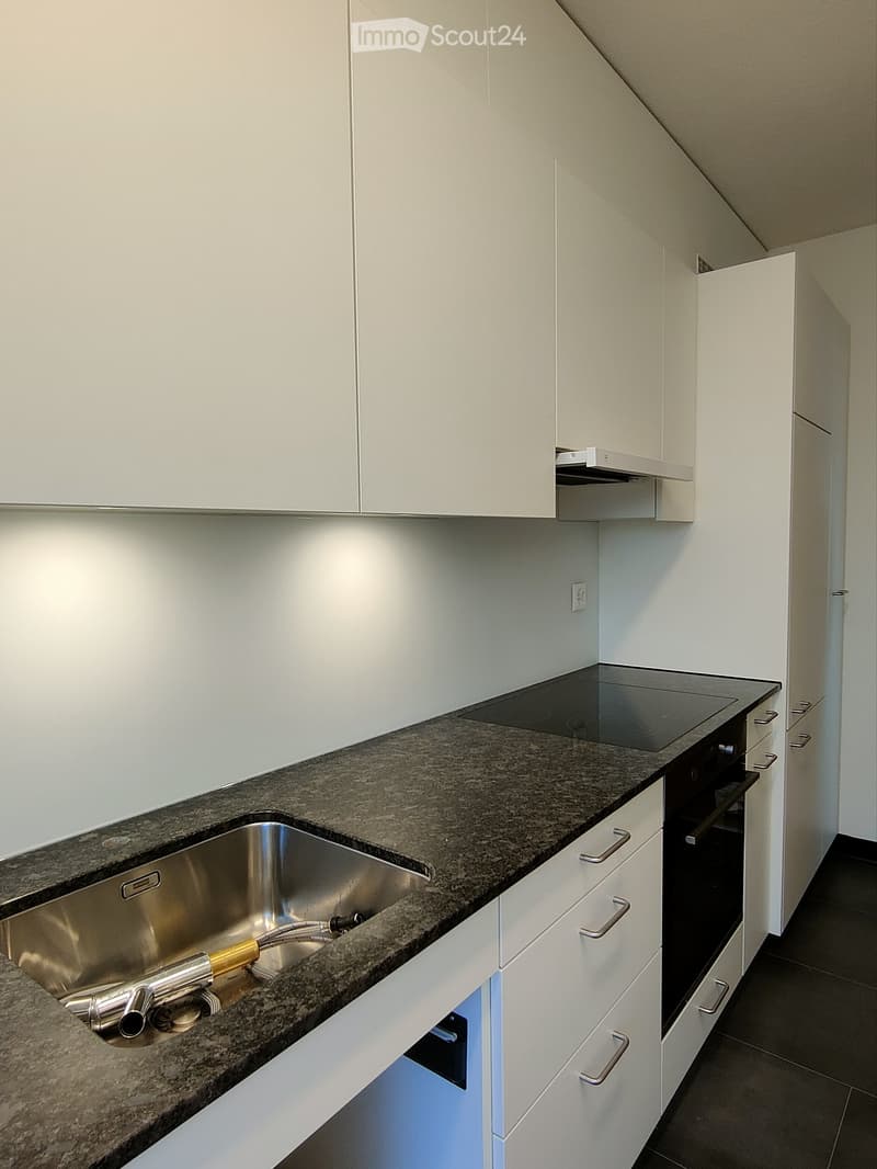 Modern kitchen with white cabinets, granite countertop, stainless steel sink, and induction cooktop.