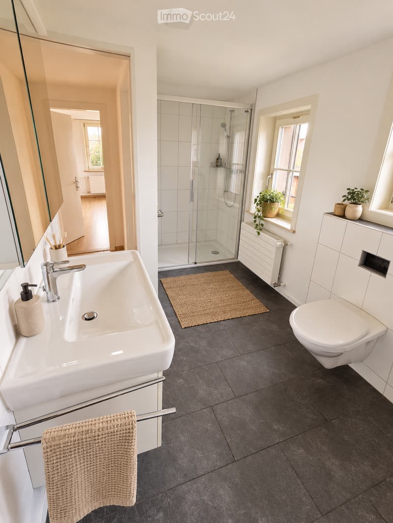 Modern bathroom with a white sink, chrome faucet, toilet, large mirror, glass-enclosed shower, dark grey tiles, and a small woven rug. There are potted plants on the windowsill and a towel hanging on a rail.