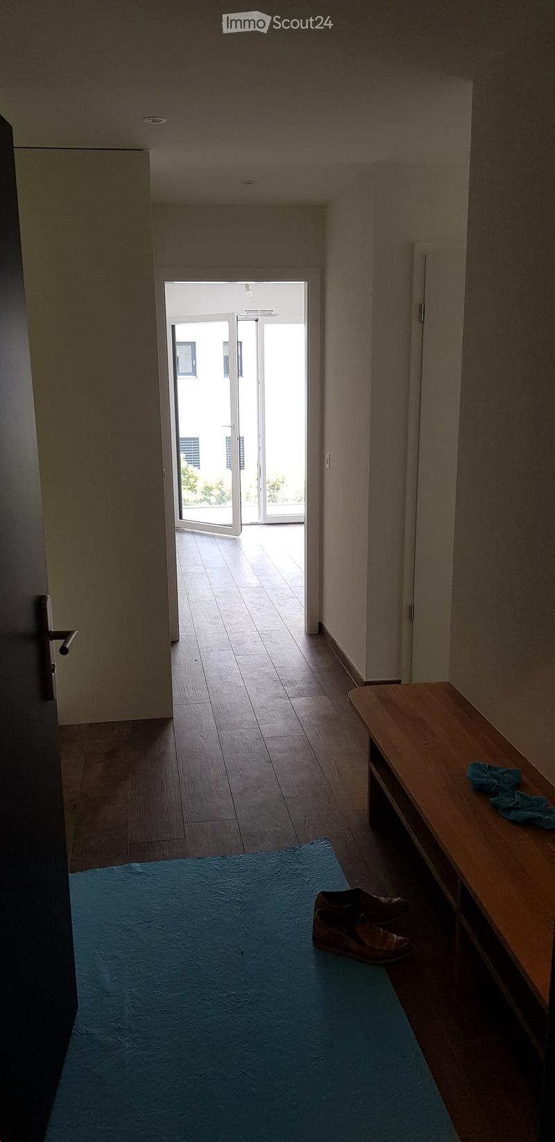 A narrow hallway with wooden flooring, a blue mat, a wooden bench, and a pair of shoes placed on the mat. The hallway leads to an open doorway with glass panels, allowing natural light to enter.