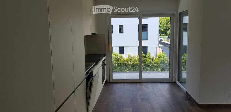 Modern kitchen with light-colored cabinets, a built-in oven, and a dishwasher. The space features a large sliding glass door leading to a balcony with a view of greenery and neighboring buildings.