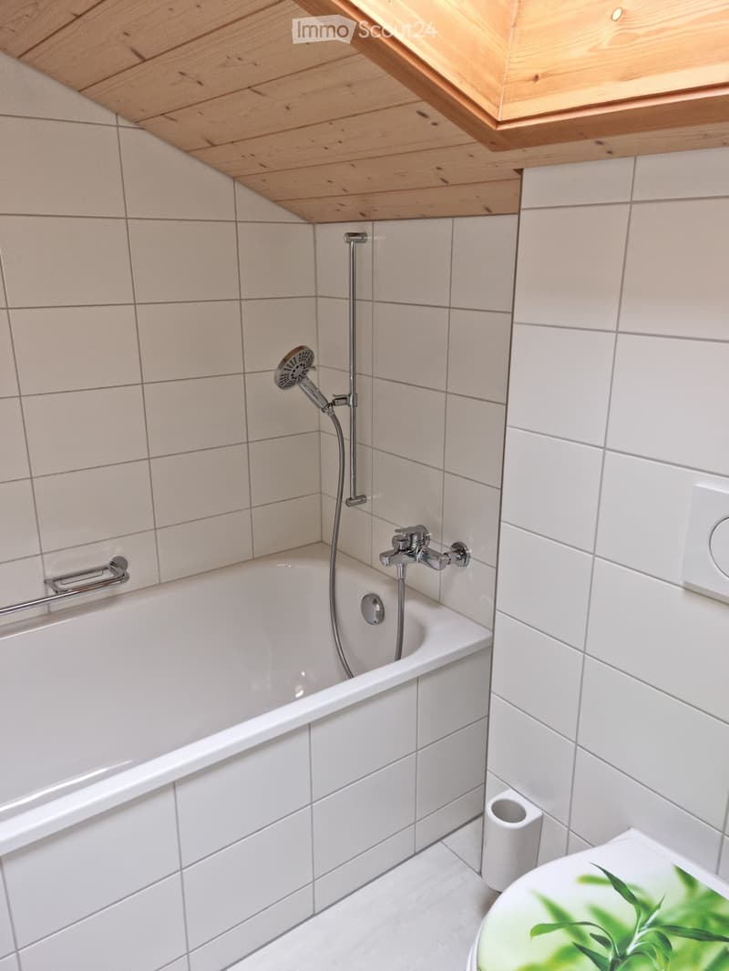 5 1/2 Zimmer-Dachwohnung in Wilderswil (6)