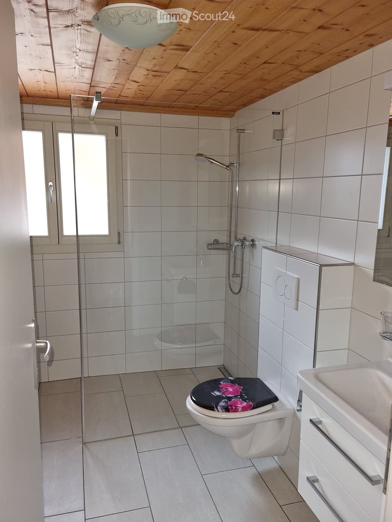 5 1/2 Zimmer-Dachwohnung in Wilderswil (7)