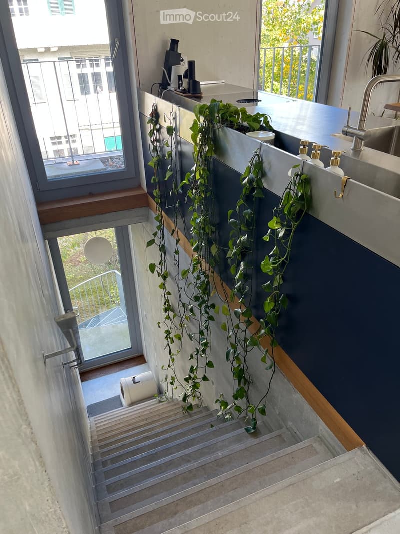 Modern hallway with grey walls, wooden flooring, and a staircase leading upwards. Features a sink area with a faucet, soap dispensers, and a potted plant on the railing. The hallway has large windows offering a view of greenery and a neighboring building.