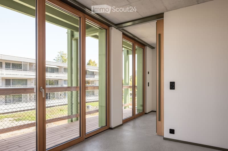 Modern hallway with large glass sliding doors leading to a balcony area, white walls, and carpeted floor.