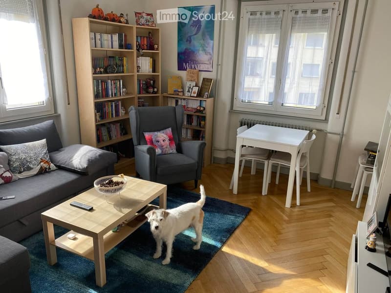 Living room with a sofa, armchair, coffee table, dining table, bookshelf, and a small dog.