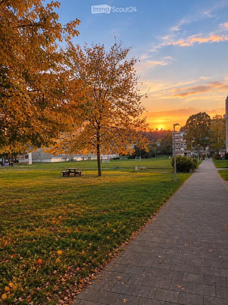 A park area with a paved walkway, grassy field, picnic table, trees with autumn foliage, and distant buildings.
