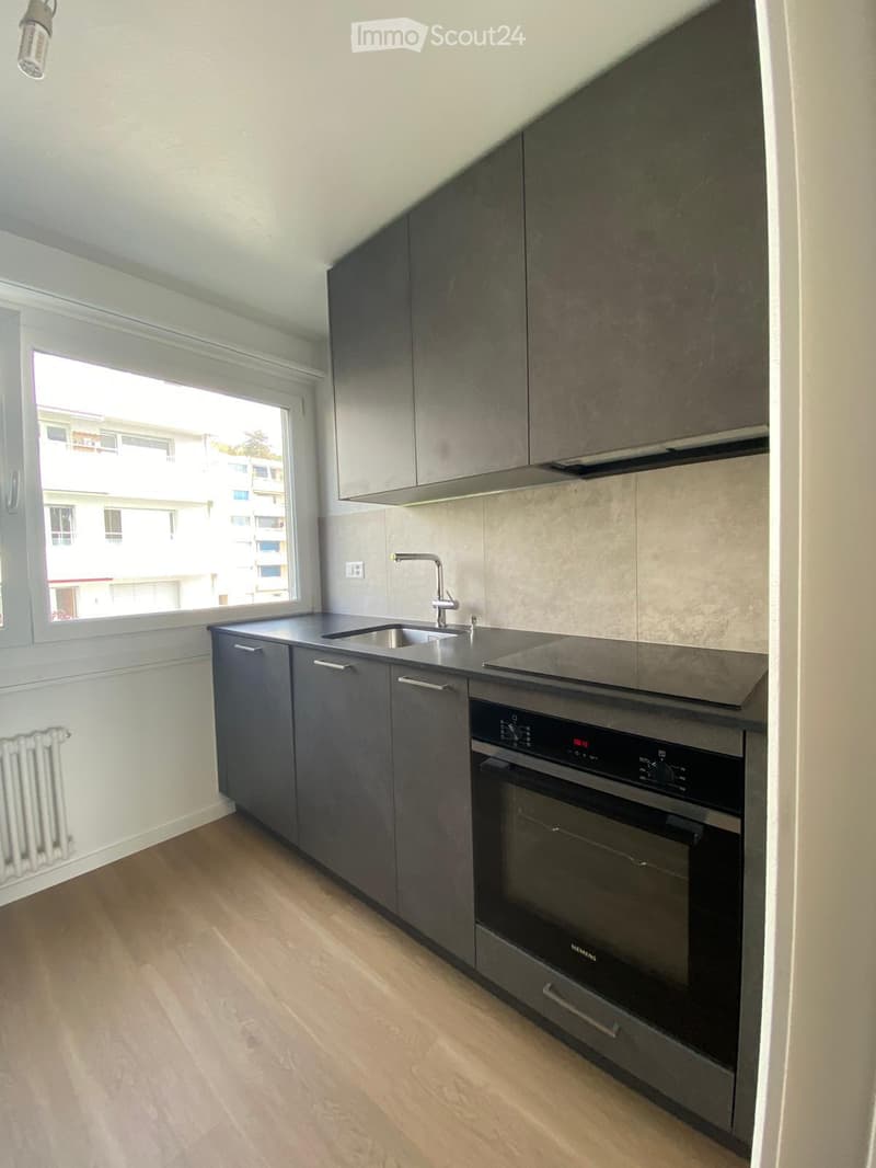 Modern kitchen with dark grey cabinets, stainless steel sink and oven, light wooden flooring, and a window offering a view of the building outside.