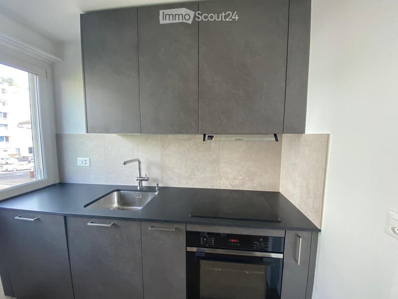 Modern kitchen with grey cabinets, a stainless steel sink, a built-in oven, and a sleek countertop.