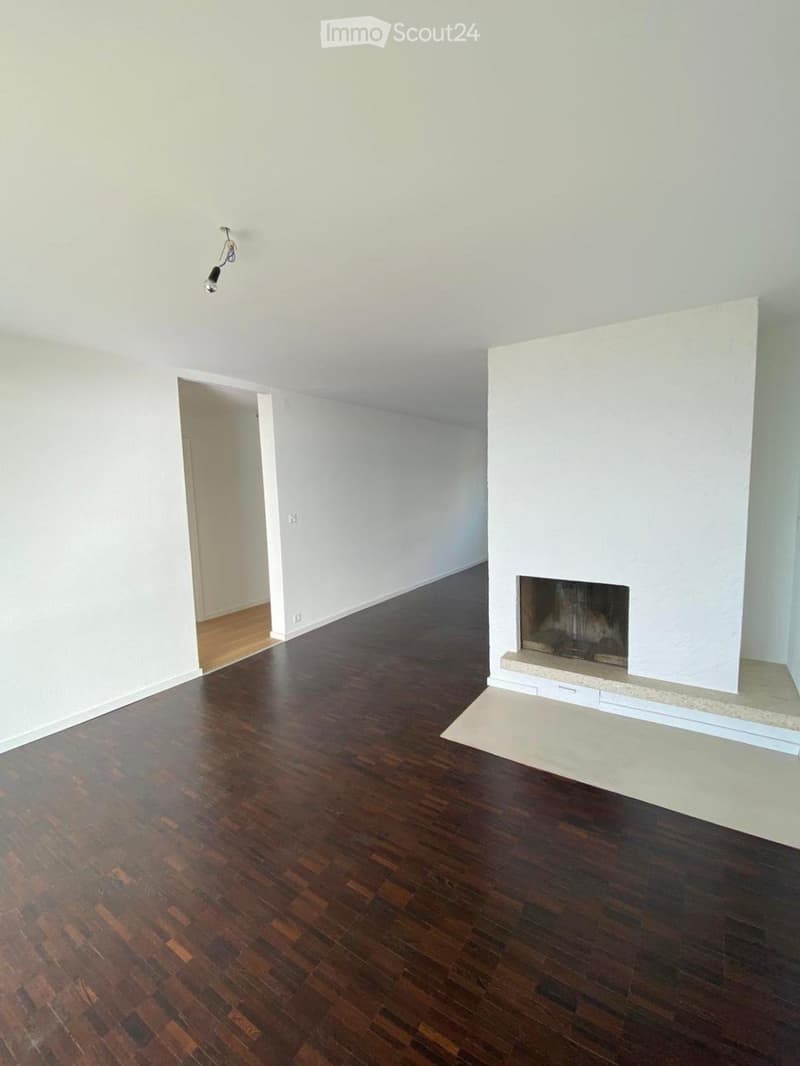 Empty room with light-colored walls, dark hardwood flooring, and a fireplace with a white mantle. A single recessed light fixture is visible on the ceiling.