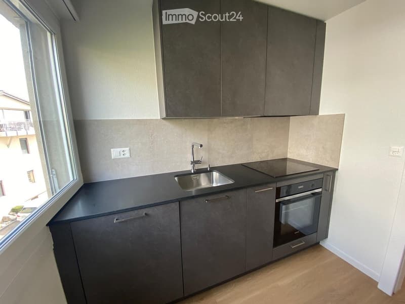 Modern kitchen with dark grey cabinets, a stainless steel sink, a built-in oven, and a sleek countertop.