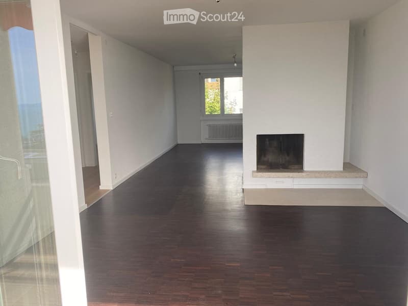 Empty room with dark wooden flooring, white walls, and a fireplace. There is a window with a radiator below it and a glass door leading to another area.