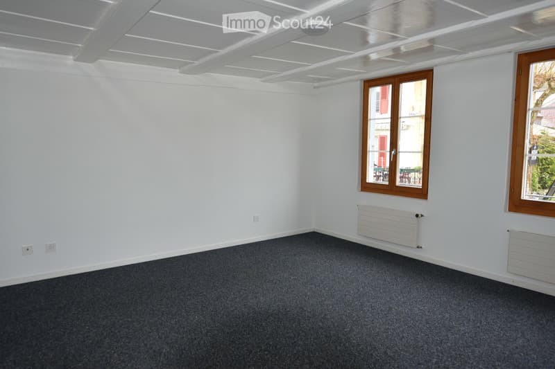 Empty room with white walls, grey carpet, two windows with wooden frames, and white radiators.