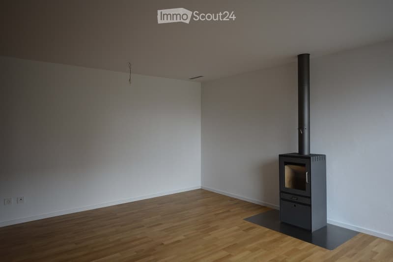 Empty room with wooden flooring, white walls, and a modern wood-burning stove with a chimney.