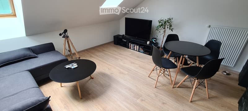 Modern living room with wooden flooring, grey sofa, coffee table, dining table with chairs, television, potted plant, and radiator.