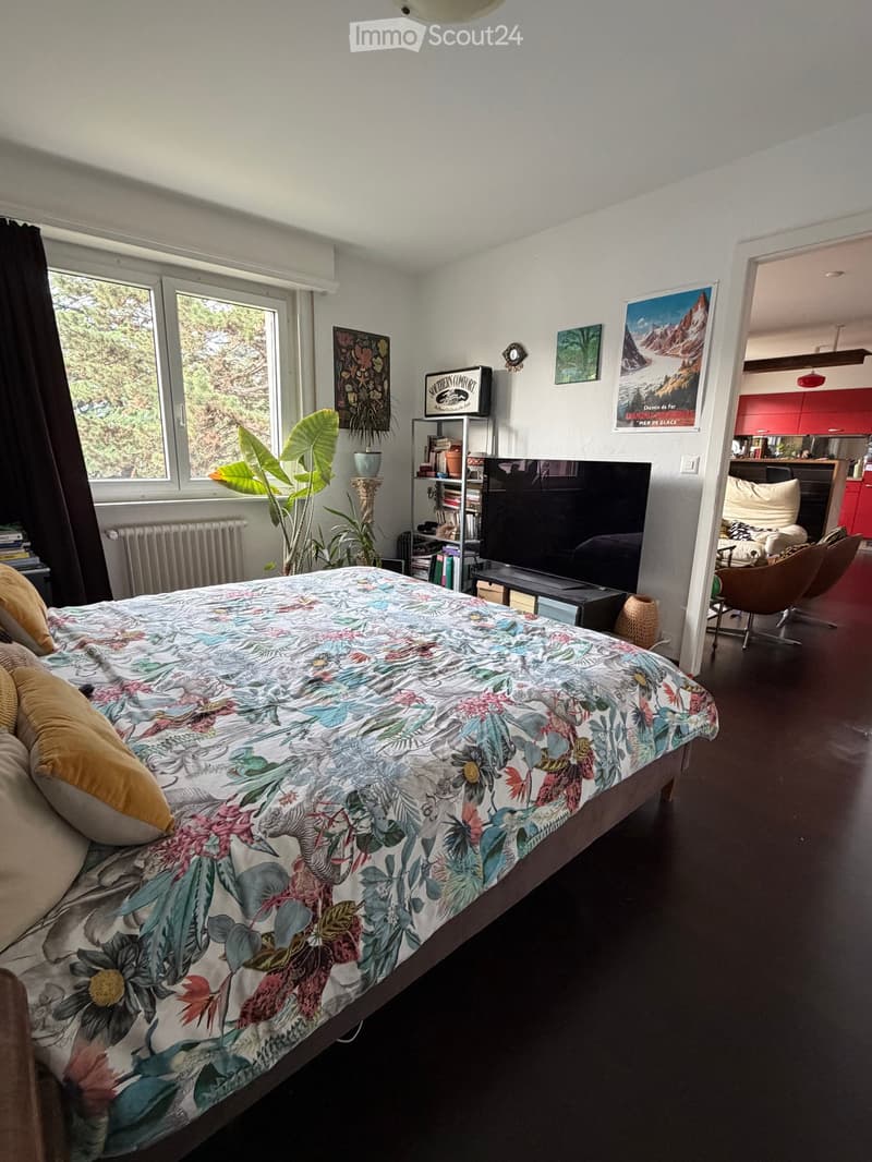 A modern bedroom with a large bed covered in a floral duvet, a television on a stand, a bookshelf, and a view of greenery through large windows.