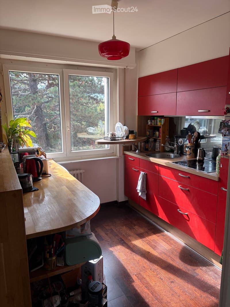 {"type": "Kitchen", "objects": ["sink", "faucet", "stove", "cabinets", "counter", "fridge", "cupboard", "fridge", "oven", "cupboard", "cupboard", "cupboard", "cupboard", "cupboard", "cupboard", "cupboard", "cupboard", "cupboard", "cupboard", "cupboard", "