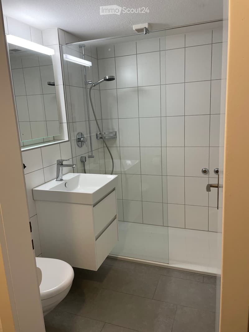 Studio im Herzen von Bern (6)
