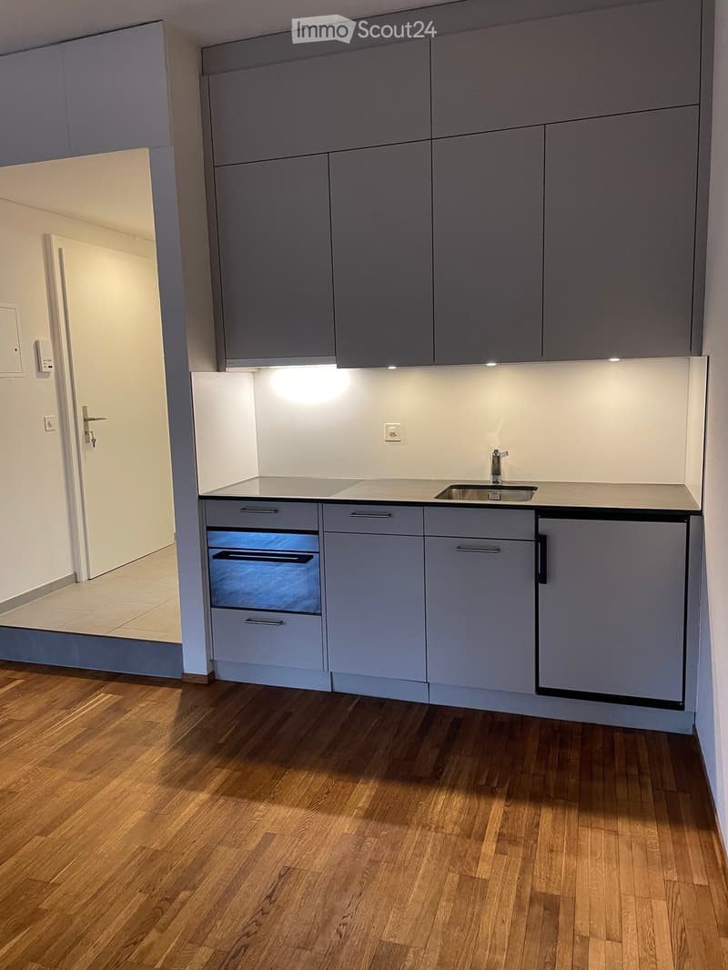Studio im Herzen von Bern (5)