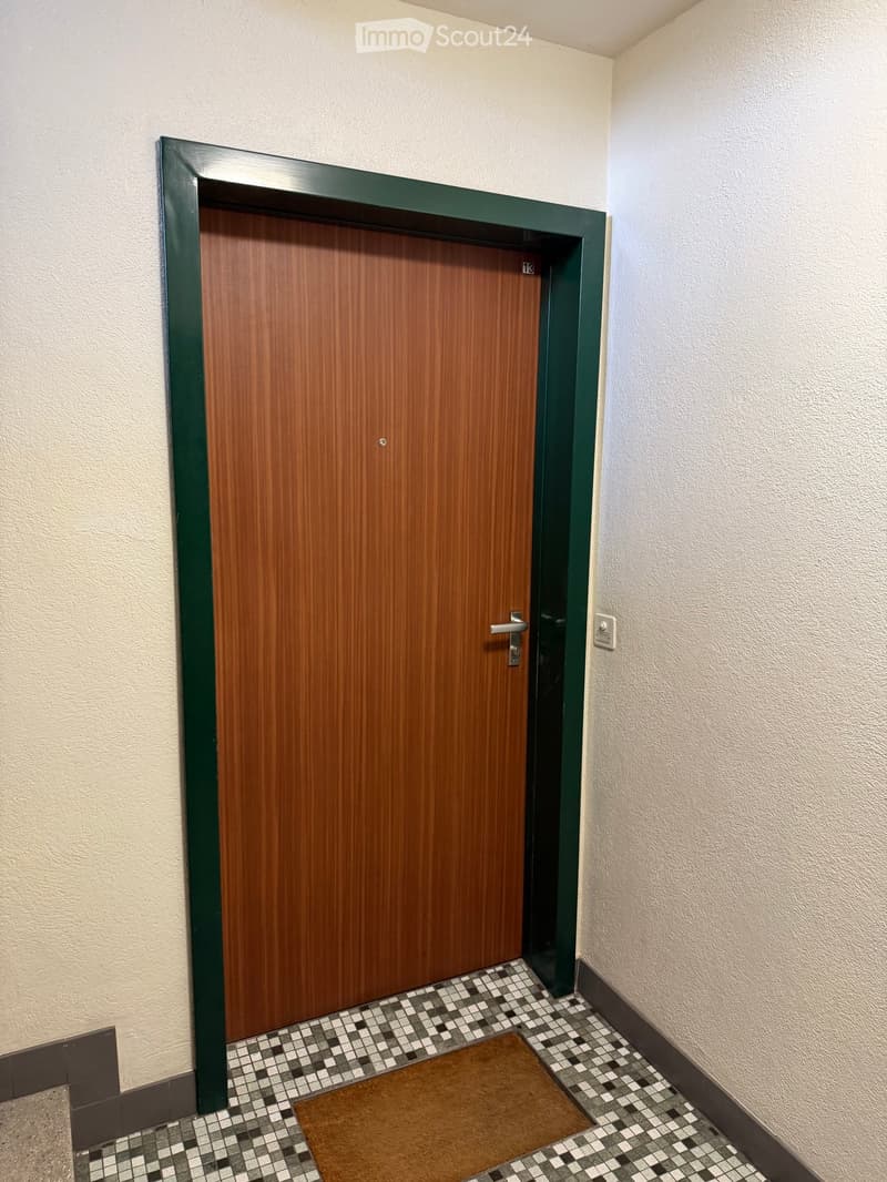 Hallway with a wooden door, green frame, tiled floor, and a small doormat in front of the door.