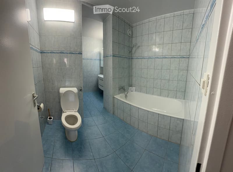 Modern bathroom with a toilet, bathtub, and showerhead. Features tiled walls and floor, a light fixture above the bathtub, and a toilet paper holder on the wall.