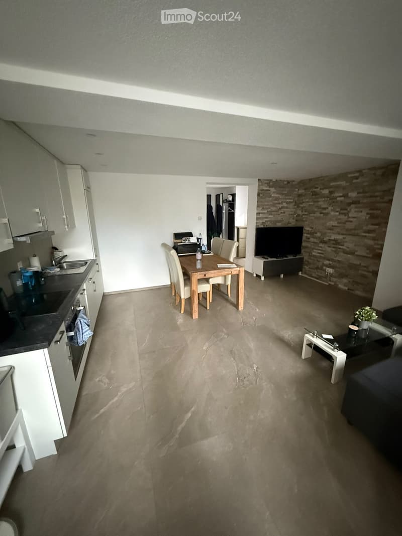 Open-plan living and dining area with a dining table, chairs, sofa, coffee table, and television. Kitchen area features cabinets and a sink.
